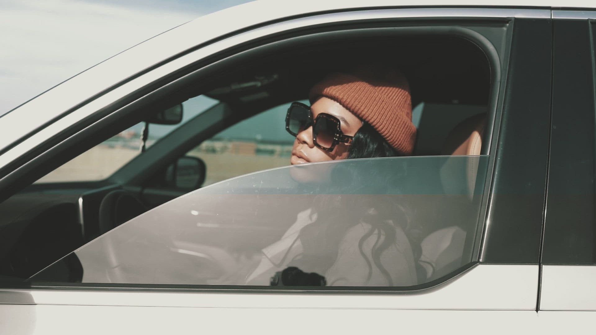 Expensive {Tortoise}